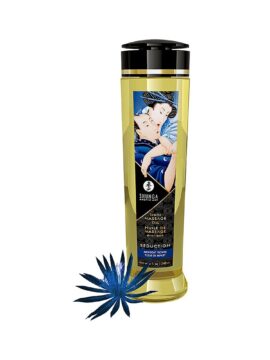 Shunga Erotic Massage Oil with Midnight Flower Sensual Scent 240 ml