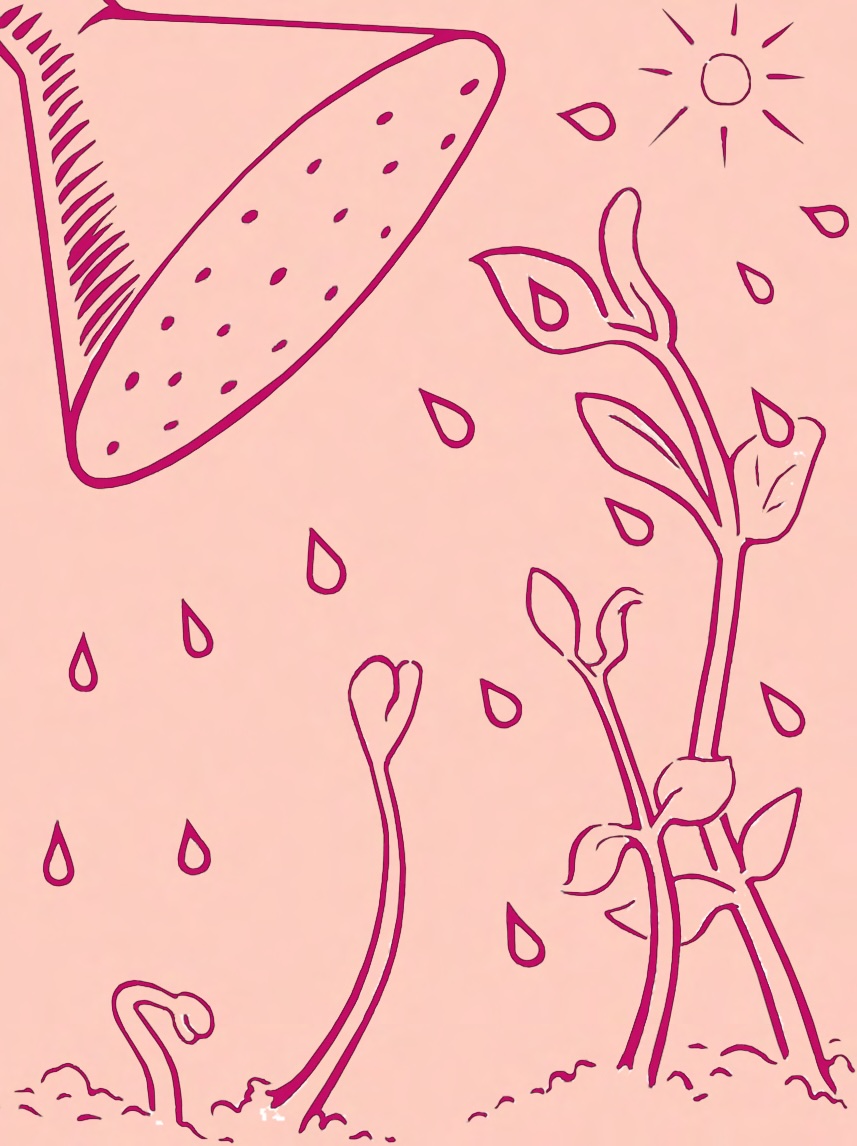 Penis Nourishing Cream